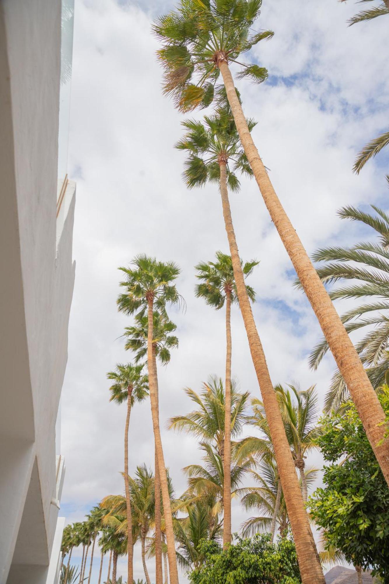 Palm Beach Fuerteventura Tarajalejo Exterior photo